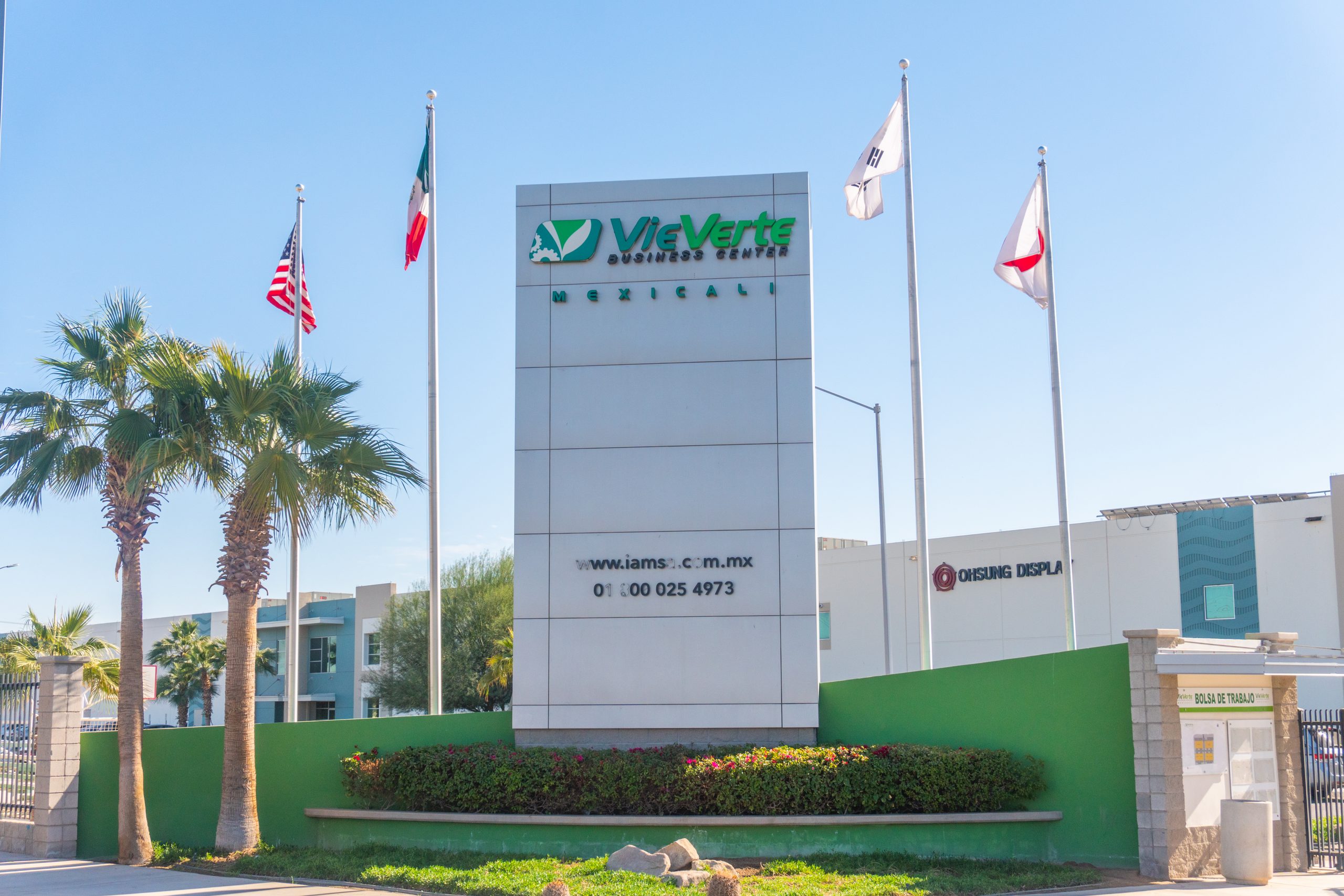 Mexicali - VieVerte (15 of 25)