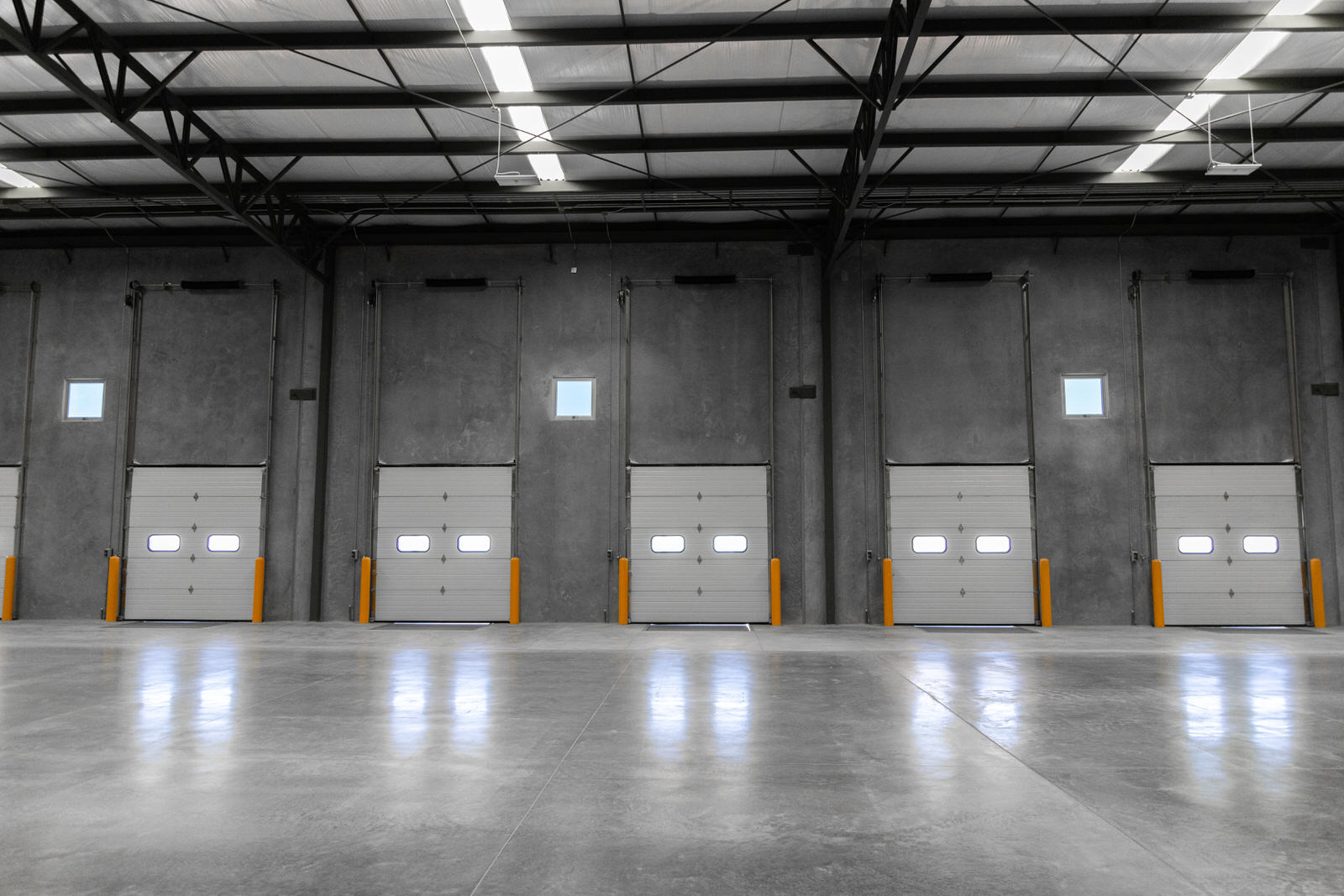 Terra Vie Verte 3.0_011